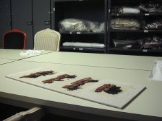 Textile prepared for viewing